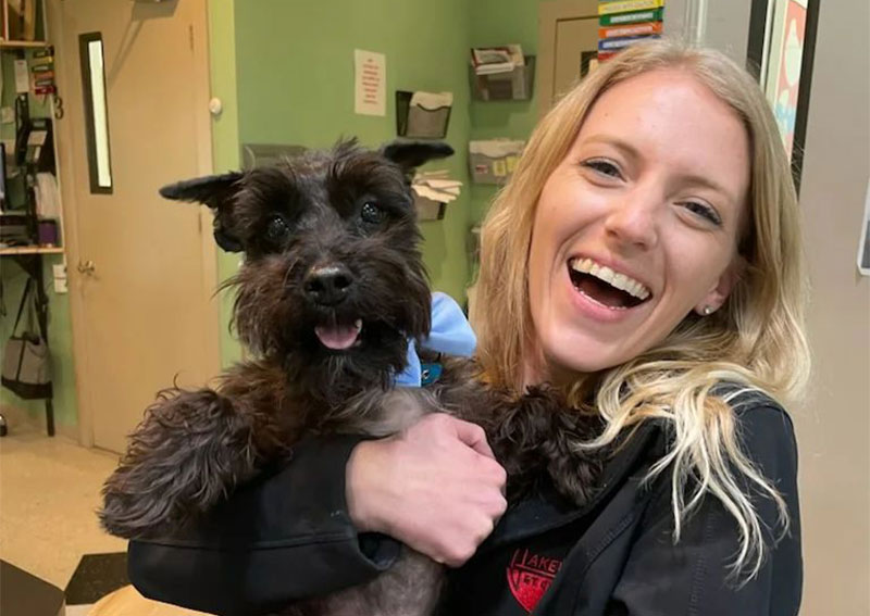 Carousel Slide 4: Dog veterinary care